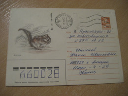 1985 Squirrel Chipmunk Ecureil Rodent Rongeur Cancel Postal Stationery Cover RUSSIA USSR Rodents Rongeurs - Nager