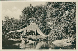 HAMBURG / STELLINGEN - CARL HAGENBECK'S TIERPARK - URWELT LANDSCHAFT - DIPLODOCUS TELEOSAURUS TRICERATOPS - 1930s (16875 - Stellingen