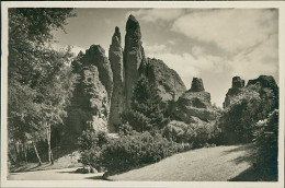 HAMBURG / STELLINGEN - CARL HAGENBECK'S TIERPARK - HOCHGEBIRGS - PANORAMA -  1930s (16888) - Stellingen