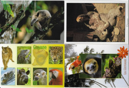 Lot 4 Cartes De La Faune En GUYANE - Collections & Lots