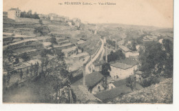 42 // PELUSSIN  Vue D'usines  14 - Pelussin