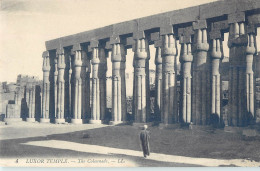 LOT 10 CPA : LUXOR LUXOUR TEMPLE STREET SCENE EGYPT EGYPTE EGYPTOLOGY - Luxor