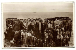 Pinnacle Rocks Farne Islands - Autres & Non Classés