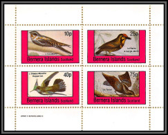 80865 Bernera Islands Scotland  L'coulevent Barbu Oiseau Mouche Torcoi ** MNH  Oiseaux (birds) 1996  - Kolibries