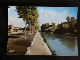 TARTAS - LANDES - LES ALLEES MARINES AU BORD DE LA MIDOUZE - Tartas