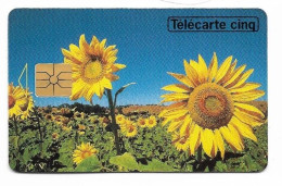 TELECARTE 5 UNITE  TOURNESOL  6/94   6000 EX - 5 Unità