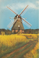 CARTOLINA  RUINEN,DRENTHE,PAESI BASSI-WINDKORENMOLEN "DE ZAANDPLATTE"-NON VIAGGIATA - Autres & Non Classés