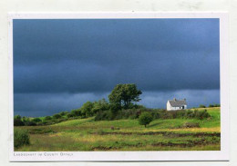 AK 177075 IRELAND - Landschaft Im County Ofaly - Offaly