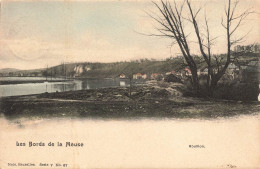 BELGIQUE - Anhée - Rouillon - Les Bords De La Meuse - Colorisé - Carte Postale Ancienne - Anhée