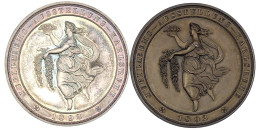 2 Stück: Silber- Und Bronzemedaille 1892 Von M. Mayer. Badischer Landesgartenbauverein, Jub.-Ausst. In Karlsruhe. Je 47  - Goldmünzen