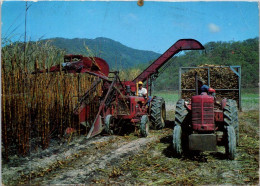 8-11-2023 (1 V 40) Australia (posted With Stamp 1966) - QLD - Sugar Cane Farming - Great Barrier Reef