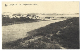 Belgique  -  Calmpthout  Ou  Kalmthout  -  De Calmpthoutsche Heide - Kalmthout