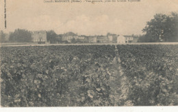 33 // MARGAUX    Vue Générale Prise Des Grands Vignobles  11258  ** - Margaux