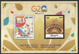 INDIA 2023 G20 Summit USA, Russia, China,Japan,France, Germany, Italy, Turkey,Saudi Arabia, UK, Korea,Brazil, Used MS - Gebruikt