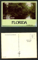 U.S.A.   FLORIDA---NAPLES WATERWAYS---UNUSED POSTCARD (PC-211) - Naples