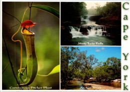 9-11-2023 (1 V 41) Australia (posted With Flower Stamp) - QLD - Cape York (with Carnivorous Plant) - Far North Queensland