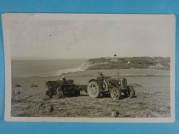 Carte Photo Caldey Island Fermier Au Travail Dans Son Champ (lire Verso) - Pembrokeshire
