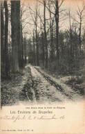 BELGIQUE - Environs De Bruxelles - Une Drève Dans La Forêt De Soignes - Carte Postale Ancienne - Non Classés