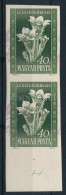 ** 1950 Virág I. 40f Vágott ívszéli Pár Látványosan Elcsúszott Lila és Sárga Színnyomattal - Altri & Non Classificati