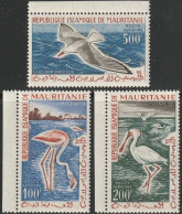 THEMATIC BIRDS:  FLAMINGO, HERON, SEAGULL   - MAURITANIA - Albatros