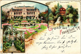 * T3 1901 Frankfurt Am Main, Palmengarten Gesellschaftshaus, Schweizerhaus, Palmenhaus / Palm Trees, Chalet, Lake, Rowin - Non Classificati