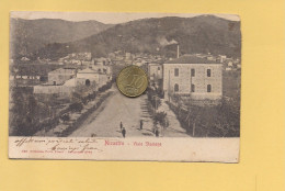 P3431 Calabria NICASTRO LAMEZIA TERME Catanzaro 1904 Viaggiata - Lamezia Terme