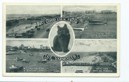 Postcard Norfolk Great Yarmouth Multiview With Good Luck Cat - Great Yarmouth