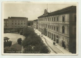 CAMPOBASSO - MUNICIPIO E PALAZZO DI GIUSTIZIA  - NV FG - Campobasso