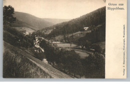 7624 BAD RIPPOLDSAU, Gruss Aus... Blick Auf Den Ort, Ca. 1906 / 07 - Bad Rippoldsau - Schapbach