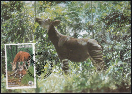 WWF 1984 Zaire Okapi Maximumkarte MK/MC - Maximumkarten