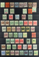 1903 - 1927 DEFINITIVE ISSUES Used On A Stock Book Page, Note 1903 Set To 5s, 1904-09 Set, 1912-23 Set To 5s (Â£1 Fiscal - Fiji (...-1970)
