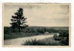 BUTGENBACH - Camp - Vue Sur La Plaine. - Butgenbach - Butgenbach