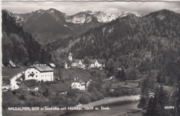 D7842) WILDALPEN -  Steiermark - Fluss Mit Häusern U. Hochkar - 1955 - Wildalpen