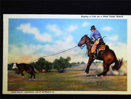 ► Cowboy Roping A Call & Potter County Court House- Carte Fine Recto Verso Provenance Carnet  Amarillo West Texas. 1930s - Amarillo