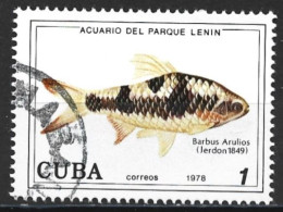 Cuba 1978. Scott #2192 (U) Fish, Barbus Arulios - Oblitérés