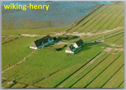 Halligen - Hallig Hamburg - Hamburger Hallig - Luftbild - Halligen