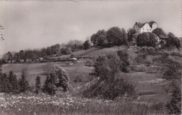 Schloss Wildegg - Blick Vom Dorf Her (mit Der Panzersperre)       Ca. 1940 - Wildegg