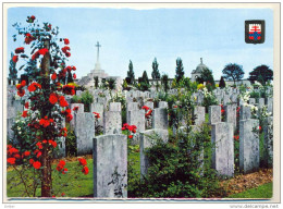 Pk146: PASSENDALE-ZONNEBEKE (Ieper) TYNE COT Cemetery 1914-1918.. - Zonnebeke