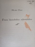 Primis Hirundinibus Advenentibus Autografo Filologo Alberto Chiari Da Firenze Ad Accademico - Historia Biografía, Filosofía