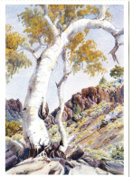 Australia 2002 Albert Namatjira Mint Postcard,Ghost Gum - Autres & Non Classés