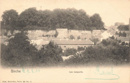 BELGIQUE - Binche - Les Remparts Vus De Loin - Carte Postale Ancienne - Binche