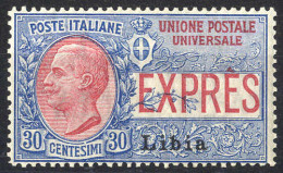 * 1915, 25c.+ 30 C., 2 Valori, Sass. 1-2 Unif. E1-2 - Libyen