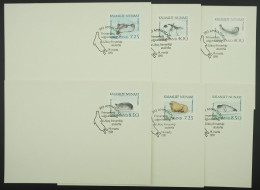 1991 Grönland; Serie Robben Auf FDCs, MiNr. 211/16, ME 15,- - Other & Unclassified