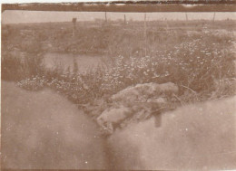 Photo 14-18 Secteur STEENSTRAAT (Bikschote) - Une Vue De Nos Tranchées, Le Champ De Bataille (A252, Ww1, Wk 1) - Langemark-Poelkapelle