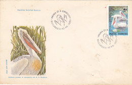 ANIMALS, BIRDS, PELICANS, DANUBE DELTA, COVER FDC, 1984, ROMANIA - Pélicans