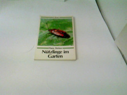 Nützlinge Im Garten - Tierwelt