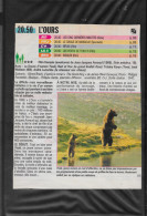 K7 VHS L' Ours Film D'aventure Téléchargé En 1990 - Action & Abenteuer