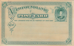 PS164 - OLD NEW POSTAL STATIONERY NEWFOUNDLAND 1 CENT - Enteros Postales