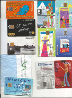 LOT DE 10 TELECARTES DE FRANCE DIFFERENTE - Colecciones