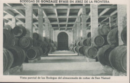 1930. ESPANA. Fine Postcard With Sherry Motive. BODEGAS DE GONZALEZ BYASS EN JEREZ DE LA FRONTERA. Vista P... - JF445063 - Sonstige & Ohne Zuordnung